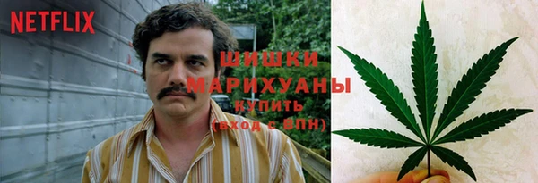 тгк Армянск