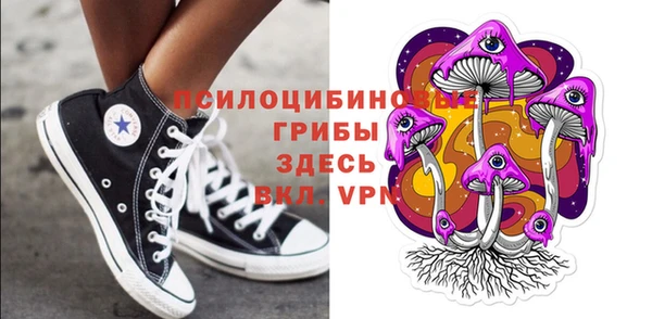 a pvp Арсеньев